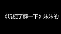 《玩梗了解一下》妹妹的选择通关攻略