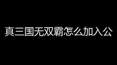 真三国无双霸怎么加入公会群会谈 真三国无双霸公会群会谈加入计划攻略