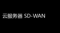 云服务器 SD-WAN：提升企业网络效率与安全性