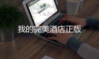 我的完美酒店正版