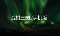 战棋三国2手机版