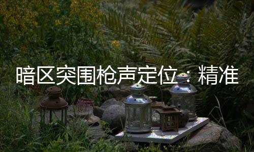 暗区突围枪声定位：精准追踪	，安全保障