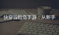 快穿冒险岛手游 ：从新手到高手的实战攻略